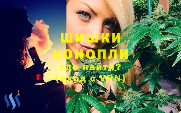 первитин Каменка