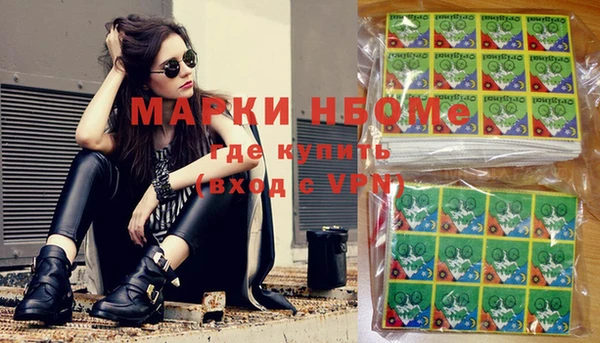 индика Инта