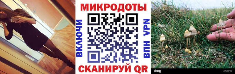 Галлюциногенные грибы MAGIC MUSHROOMS наркота МЕГА зеркало Курчатов