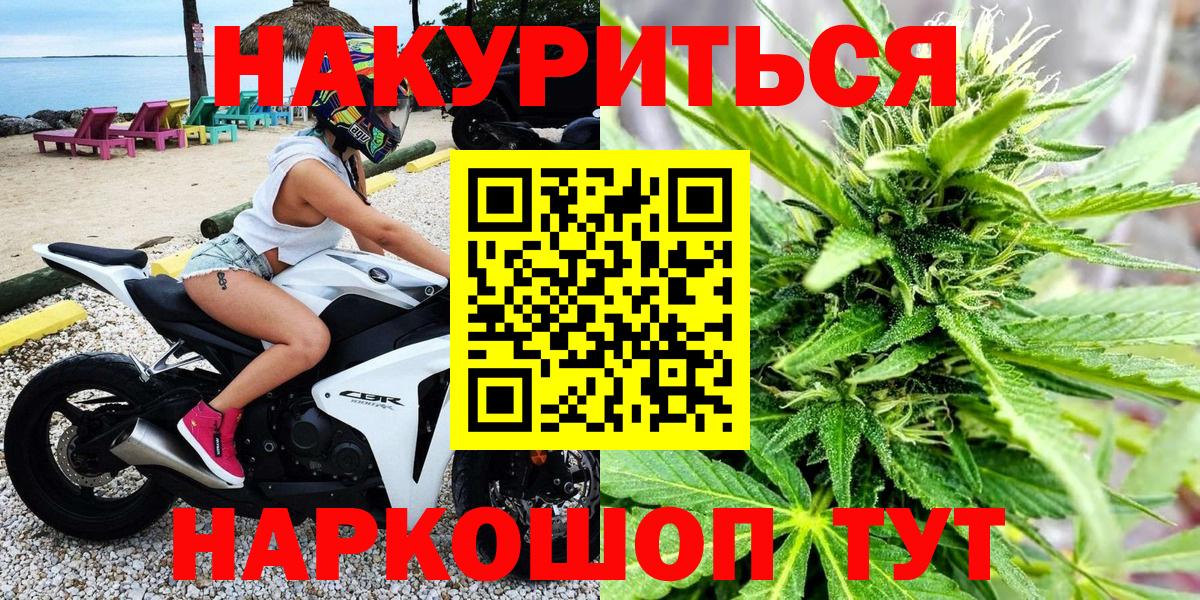 Каннабис ГИДРОПОН Курчатов
